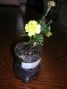 DSCN6337.JPG