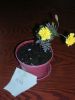 DSCN6343.JPG